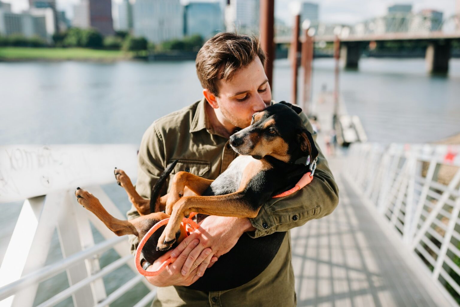 Köpeğim Merdiven Çıkarken Yoruluyor 1 Köpeğim Merdiven Çıkarken Yoruluyor