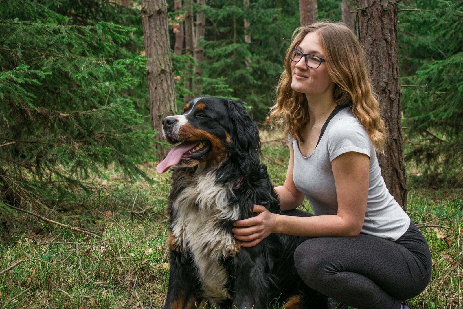 Köpeğimin hamile olduğunu nasıl anlarım- bayrampaşa veteriner