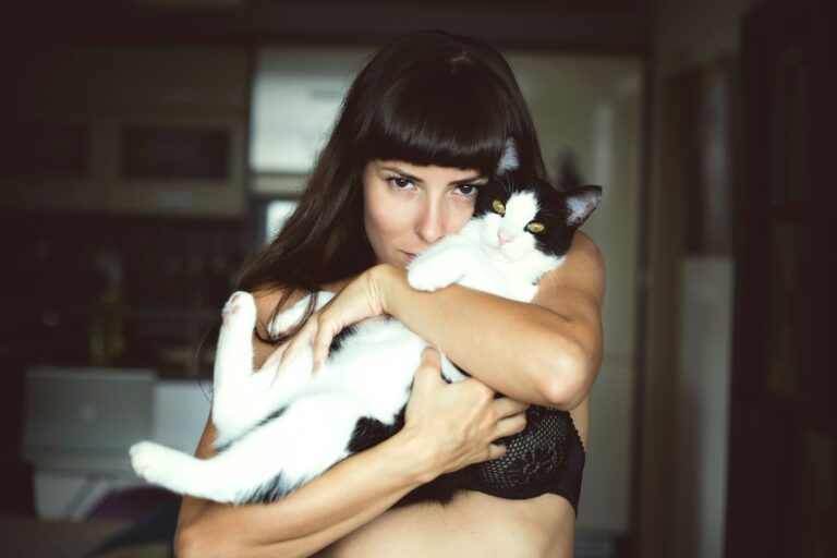 Eve Kedi Alırken Dikkat Edilmesi Gerekenler 9 Eve Kedi Alırken - bayrampaşa veteriner