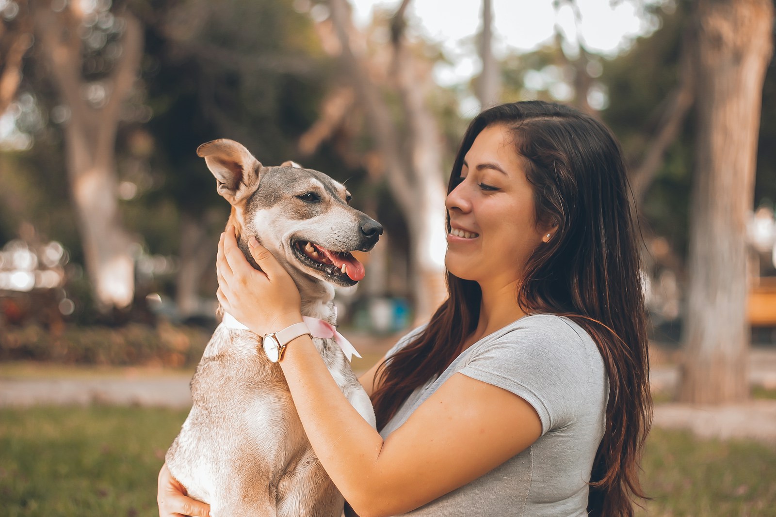Kedi ve Köpeklerde Traş İşlemi 1 Kedi ve Köpeklerde Traş İşlemi