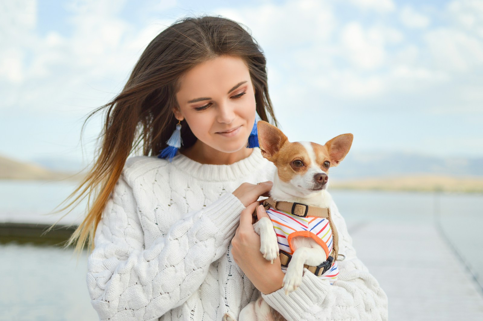 köpeğim-sürekli-tüy-döküyor-bayrampasa-veteriner